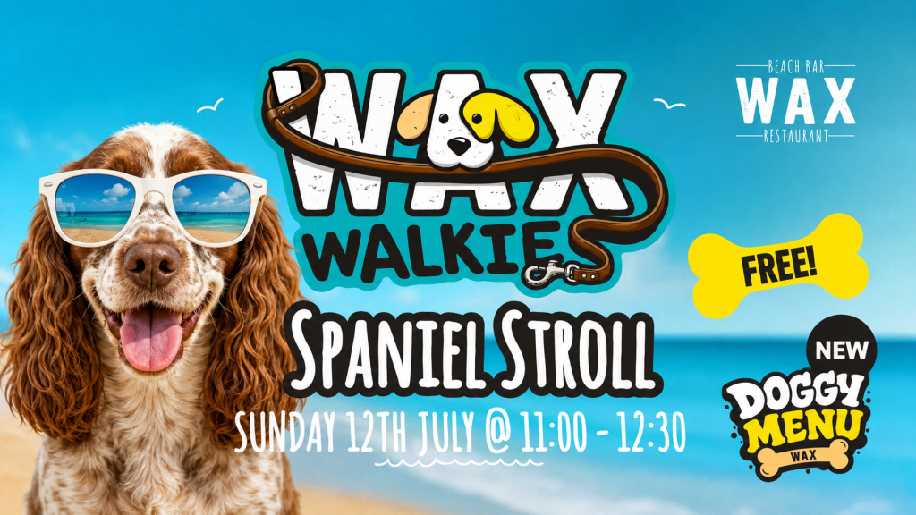 SpanielStroll