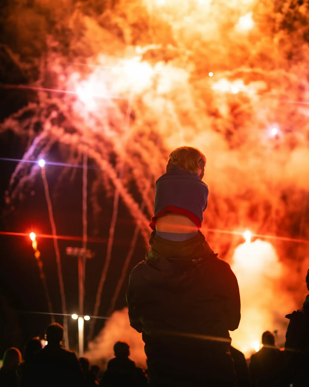 Fireworks lighting up the sky above an audience