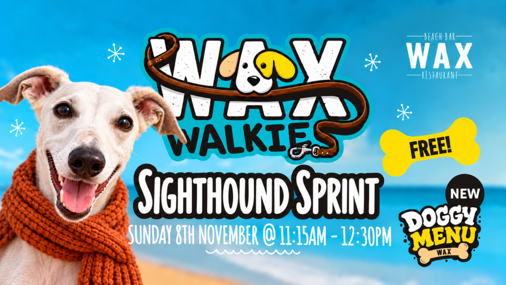 Winter Sighthound Sprint Poster